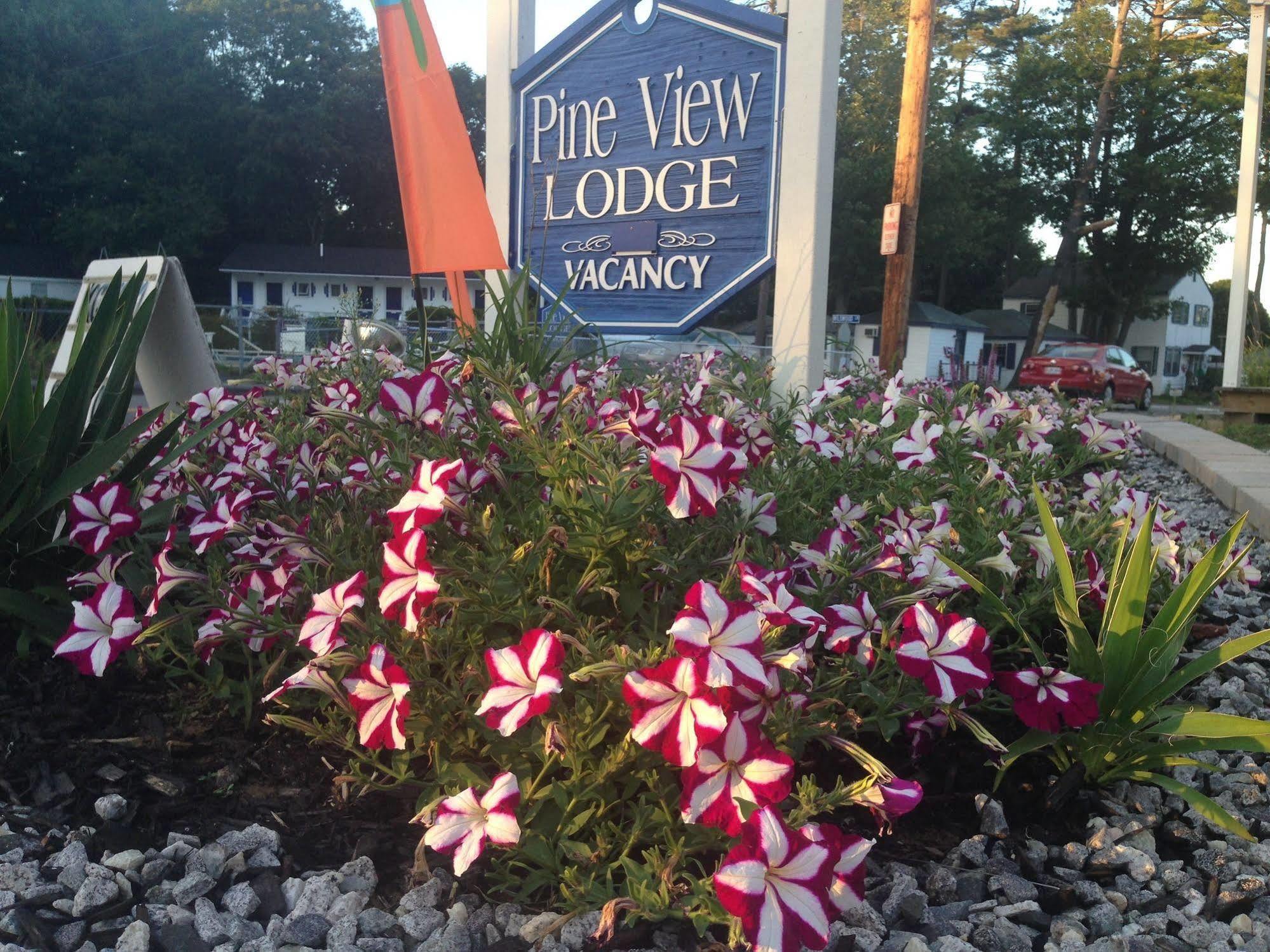 Motel Pine View Old Orchard 2*